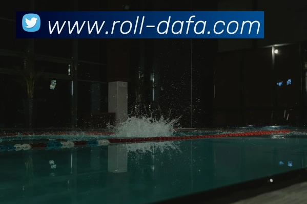 大发官网服务体系